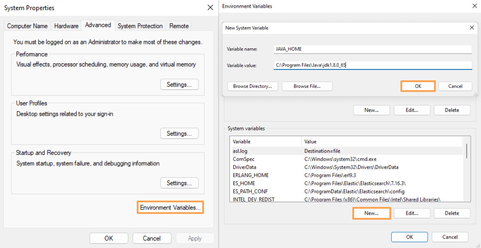 Add new environment variable