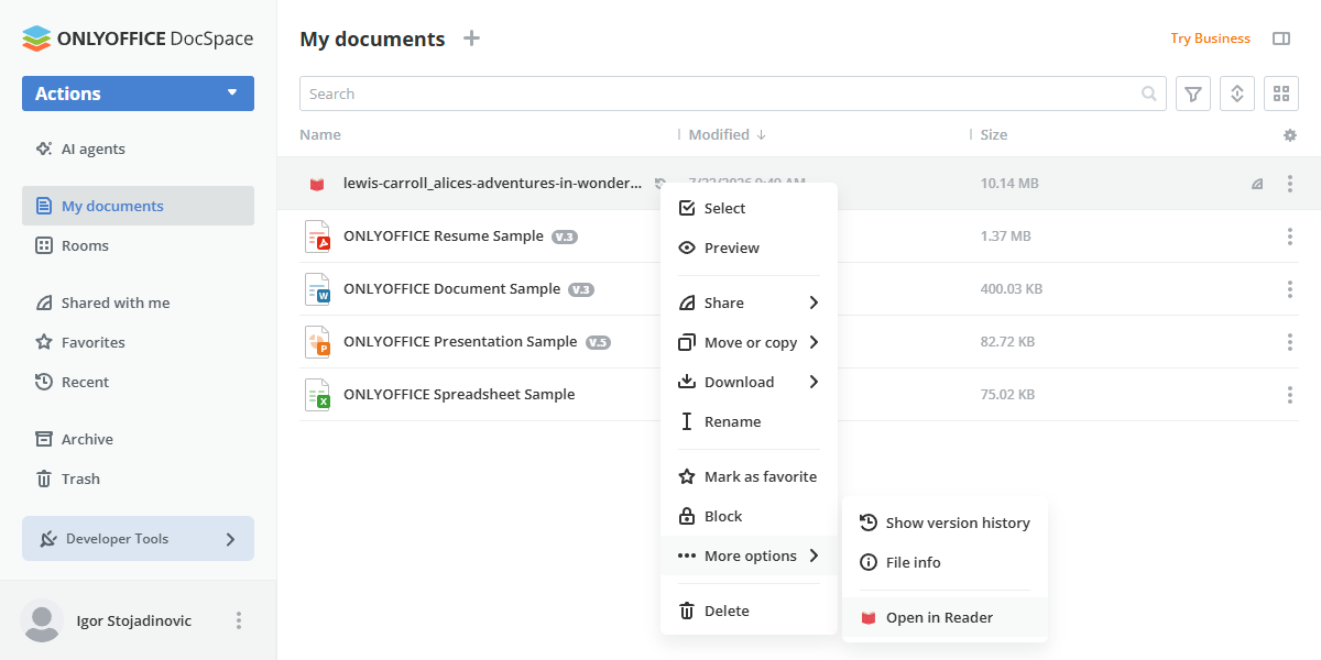 Book reader open file