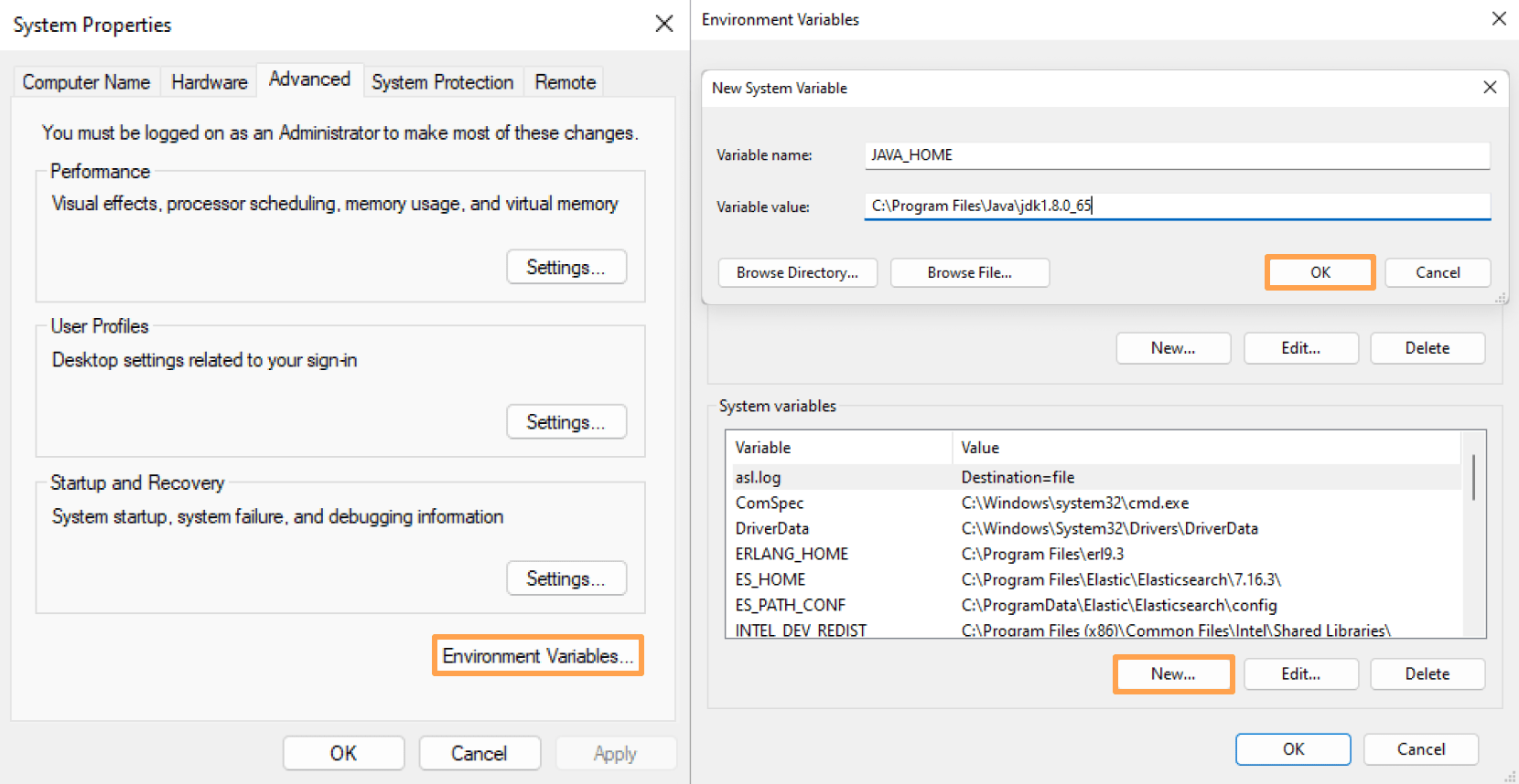 Add new environment variable